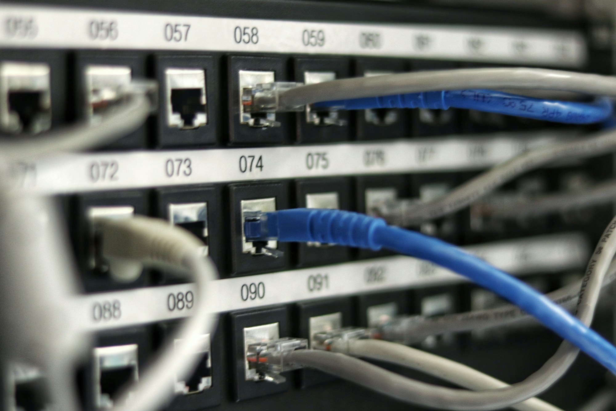 Blue and gray network cables connected to numbered ports, a metaphor for checking which site Claude Code can reach